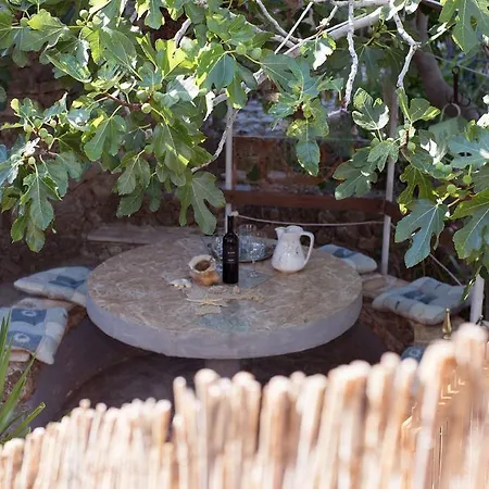 شقة Sogor *